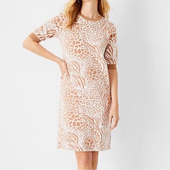 Ann Taylor Mixed Animal Print Knit Shift Dress Ribbed Trim Size M/P - Picture 10 of 12